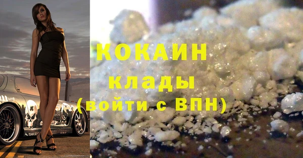 spice Богданович